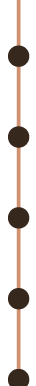 timeline.png