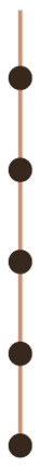 timeline.png